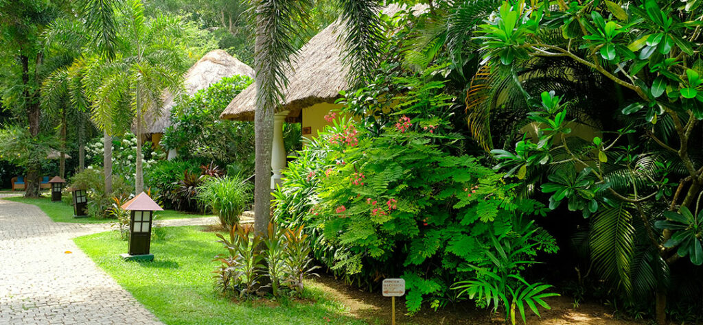 enjoyayurveda-carnoustie-ayurveda-resort-00008